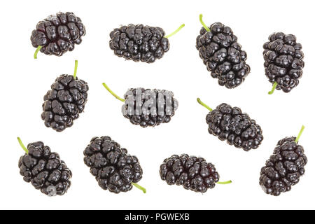 Mulberry berry isolé sur fond blanc. Vue d'en haut. Mise à plat Banque D'Images