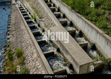 De l'échelle à poissons, à la centrale hydroélectrique sur l'Amper, Dachau, Upper Bavaria, Bavaria, Germany Banque D'Images