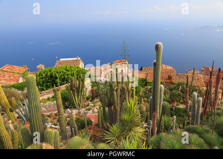 Jardin botanique d'Èze, avec divers cactus sur le premier plan, vue aérienne, d'Azur, à l'Europe Banque D'Images