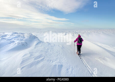 Ski de randonnée sur Burnhope siège dans le North Pennines, avec croix et la Dun Fells sur l'Horizon, Cumbria, Royaume-Uni. Banque D'Images