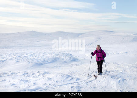 Ski de randonnée sur Burnhope siège dans le North Pennines, avec croix et la Dun Fells sur l'Horizon, Cumbria, Royaume-Uni. Banque D'Images