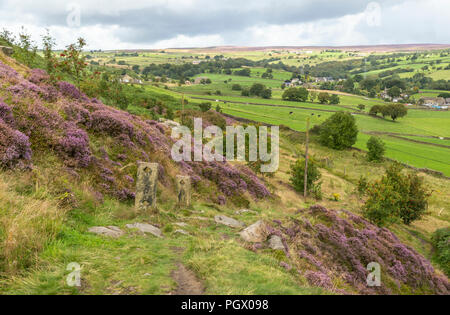 Un Yorkshire paysage montrant la lande de bruyère et de longues vues lointaines. Pris dans Baildon, Yorkshire, Angleterre. Banque D'Images