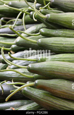 Beaucoup d cuumbers backround comme for sale at market Banque D'Images