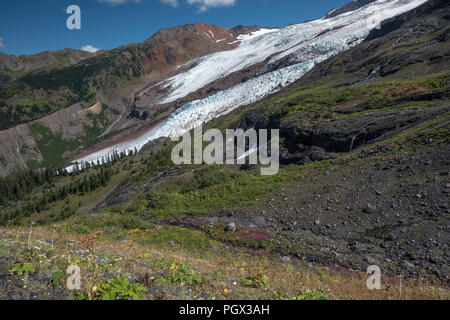 Petit ruisseau en premier plan offre un bon terrain pour une touche de l'Épilobe colorés et d'autres fleurs alpines qui poussent sur le mont Baker's face ouest. Nea Banque D'Images