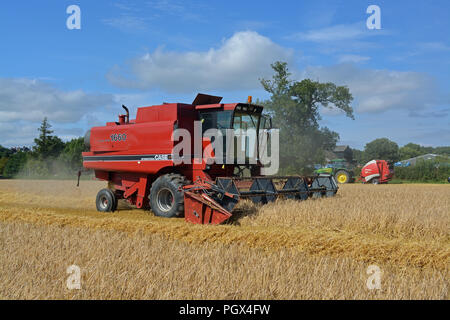 Moissonneuse-batteuse Case International 1660 Banque D'Images