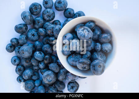 Close up de bleuets juteux fraîchement cueillis dans un bol blanc sur fond blanc. Concept d'aliments sains. Banque D'Images