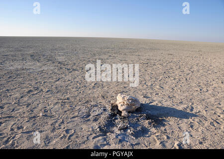 Le sable, le sel et wildllife-spoors dans la savane sèche avec horizon infini à la salines d'Etosha en Namibie Banque D'Images