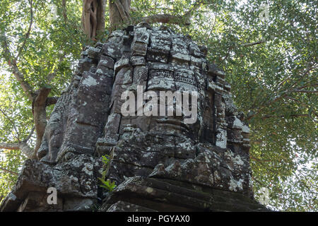 Ta Som temple au parc archéologique d'Angkor, près de Siem Reap, Cambodge Banque D'Images