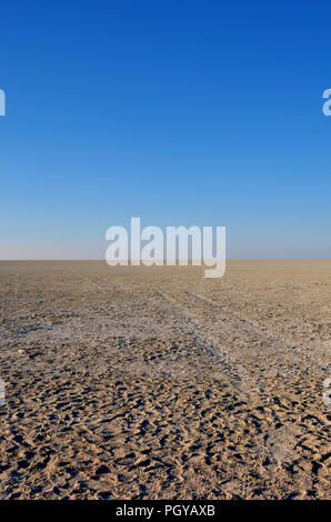 Le sable, le sel et wildllife-spoors dans la savane sèche avec horizon infini à la salines d'Etosha en Namibie Banque D'Images