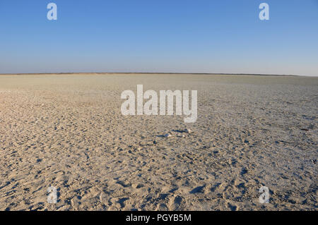 Le sable, le sel et wildllife-spoors dans la savane sèche avec horizon infini à la salines d'Etosha en Namibie Banque D'Images