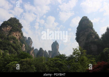 ZHANGJIAJIE parc nation Banque D'Images