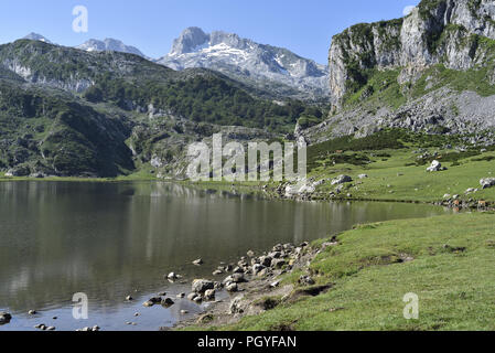 Par Lago de la Ercina, l'un des Lacs de Covadonga, dans les montagnes Picos de Europa dans les Asturies, dans le nord de l'Espagne Banque D'Images