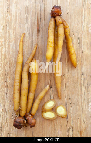 Chinesse ginger aussi connu comme fingerroot sur table en bois à partir de ci-dessus. Herbes culinaires. Banque D'Images