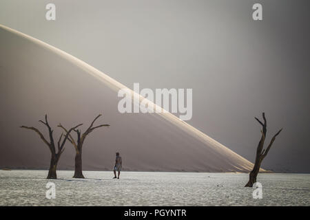 Visiteur admire paysage pittoresque à Deadvlei, Namib-Naukluft National Park, région Hardap, la Namibie. Banque D'Images