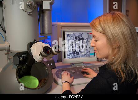 Centers for Disease Control and Prevention (CDC), Maureen stagiaire en utilisant un microscope électronique à transmission Metcalfe (TEM), 2011. Image courtoisie Centres for Disease Control / Cynthia Goldsmith. () Banque D'Images