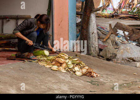 Ha Giang, Vietnam - Mars 17, 2018 : femme de la minorité ethnique hmong couper une plante en face de sa maison dans le village de Yen Minh Banque D'Images