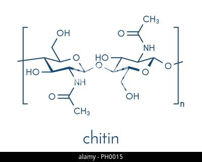 La chitine, structure chimique. La chitine est un polymère de N-acétylglucosamine et est présent dans l'exosquelette des insectes, crustacés, etc. Skeletal formu Illustration de Vecteur