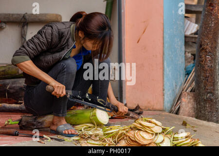 Ha Giang, Vietnam - Mars 17, 2018 : femme de la minorité ethnique hmong couper une plante en face de sa maison dans le village de Yen Minh Banque D'Images