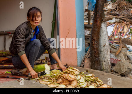 Ha Giang, Vietnam - Mars 17, 2018 : femme de la minorité ethnique hmong couper une plante en face de sa maison dans le village de Yen Minh Banque D'Images