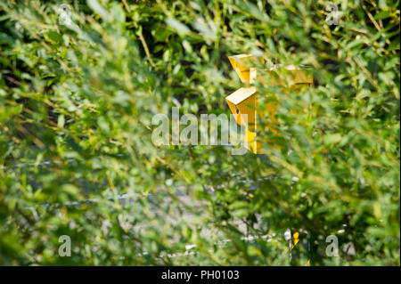 L'application du code de la caméra en Pologne. 23 août 2018 © Wojciech Strozyk / Alamy Stock Photo Banque D'Images