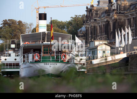 28 août 2018, l'Allemagne, Dresden : apparemment sur la terre ferme se trouve à la poupe du paquebot Dresden i à la Brühlsche Terrasse. Le niveau d'eau de l'Elbe à Dresde est en ce moment 53 centimètres. Photo : Ralf Hirschberger/dpa Banque D'Images