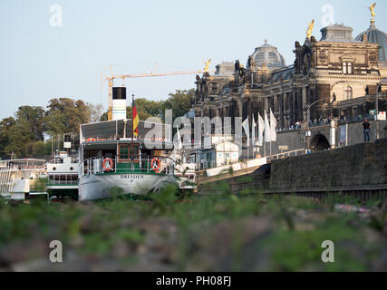 28 août 2018, l'Allemagne, Dresden : apparemment sur la terre ferme se trouve à la poupe du paquebot Dresden i à la Brühlsche Terrasse. Le niveau d'eau de l'Elbe à Dresde est en ce moment 53 centimètres. Photo : Ralf Hirschberger/dpa Banque D'Images