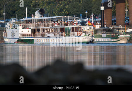 28 août 2018, l'Allemagne, Dresden : le paquebot Leipzig est sur l'Elbe à Dresde. Le niveau d'eau de l'Elbe à Dresde est en ce moment 53 centimètres. Photo : Ralf Hirschberger/dpa Banque D'Images
