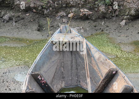 Bateau abandonné dans le champ de riz Banque D'Images