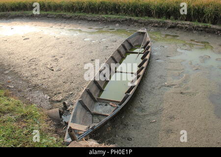 Bateau abandonné dans le champ de riz Banque D'Images