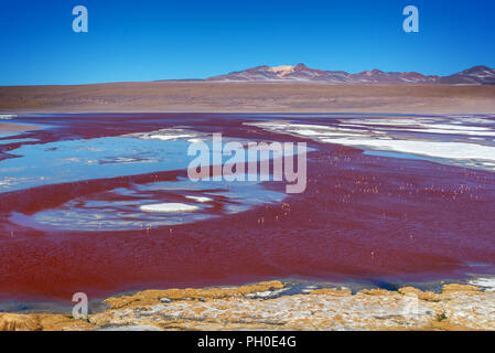 Vue sur la Laguna Colorada, salt lake colorés dans Sur Lipez province, Potosi, en Bolivie Banque D'Images