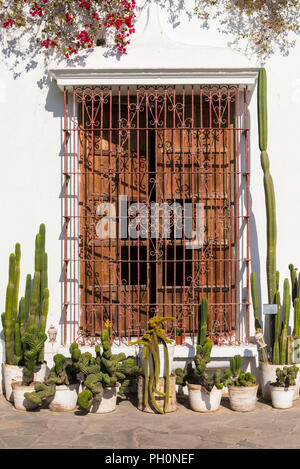 Des cactus, des bougainvillées, des couvre-fenêtres en fer forgé dans le patio au Museo Larco de Lima, Pérou. Banque D'Images