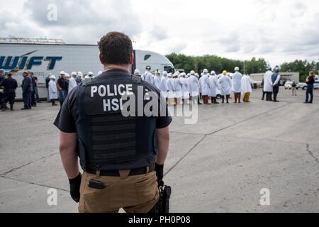 SALEM, OH - agents spéciaux de U.S. Immigration and Customs Enforcement (ICE) Homeland Security Investigations (HSI) mardi tard a exécuté un mandat de perquisition au criminel marque fraîche à Salem, OH, en plus de la recherche de documents de souscription à trois autres marquer les emplacements dans le Nord de l'Ohio. Au cours de l'exécution du mandat de recherche, les autorités ont identifié plus de 100 Marque frais employés travaillant à la Salem de viande qui ont été l'objet d'arrestations pour infractions en matière d'immigration. Banque D'Images