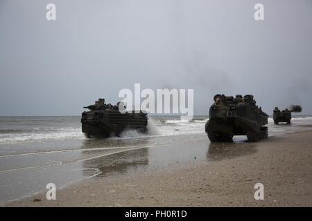 U.S. Marine AAV-P7/A1 Assault Amphibian Véhicules avec la 22e Marine Expeditionary Unit sur terre PHIBRON Onslow Beach pendant l'intégration/MEU, Camp Lejeune, N.C., 18 juin, 2018. PMINT est une formation de deux semaines qui permet l'évolution des Marines et marins pour former comme une unité cohérente en vue de leur prochain déploiement. Banque D'Images