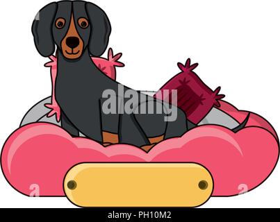 Cute dachshund dog au lit sur fond blanc, vector illustration Illustration de Vecteur