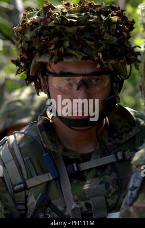 Une masse d'autodéfense japonaise paratrooper se met en position d'apporter un soutien par le feu au cours de la formation de l'armée américaine avec l'Alaska's 1st Stryker Brigade Combat Team, 25e Division d'infanterie, dans le secteur d'entraînement Donnelly près de Fort Greely dans le cadre de l'exercice Arctic Aurora, 20 juin 2018. Aurora de l'Arctique est un exercice d'entraînement bilatéral annuel comportant des éléments de l'armée américaine et l'Alaska JGSDF, qui vise à renforcer les liens entre les deux combinés en exécutant des opérations aéroportées en petites unités de base de compétence et de l'adresse au tir d'armes légères avec un accent sur la préparation au combat et interoperabilit Banque D'Images