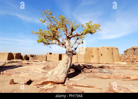 Baobab sacré à Sangha dans la falaise de Bandiagara. Pays Dogon. Le Mali, Afrique de l'Ouest Banque D'Images