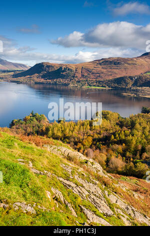 Vue sur Parc Manesty Derwent Water et de la pente est de Catbells dans le Parc National du Lake District, Cumbria, Angleterre. Banque D'Images