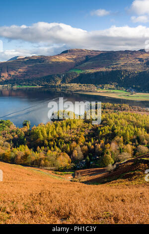 Vue sur Parc Manesty Derwent Water et de la pente est de Catbells dans le Parc National du Lake District, Cumbria, Angleterre. Banque D'Images