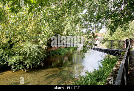 La rivière Avon Salisbury Wiltshire, UK Banque D'Images