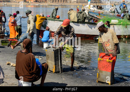 SAINT LOUIS, SÉNÉGAL - Apr 24, 2017 : Des Sénégalais est titulaire d'un fort dans le port de Saint Louis, une des plus grandes villes au Sénégal Banque D'Images