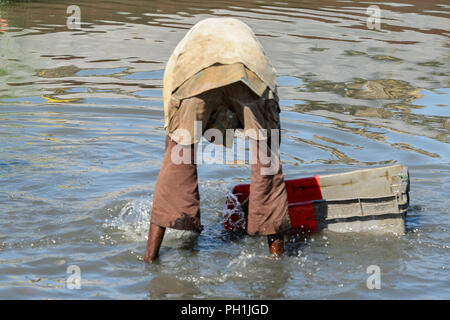 SAINT LOUIS, SÉNÉGAL - Apr 24, 2017 : l'homme sénégalais non identifiés se lave la boîte dans l'eau dans le port de Saint Louis, une des plus grandes villes dans Banque D'Images