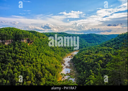 Grande Fourche sud Rivière qui coule à travers la gorge de Cumberland du Kentucky Banque D'Images