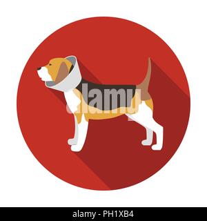 Chien avec collier élisabéthain dans l'icône modèle plat isolé sur fond blanc. Clinique Vétérinaire stock symbol vector illustration. Illustration de Vecteur