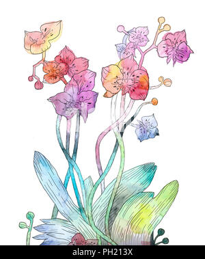 Illustration à l'aquarelle de fleurs d'Orchidées Banque D'Images