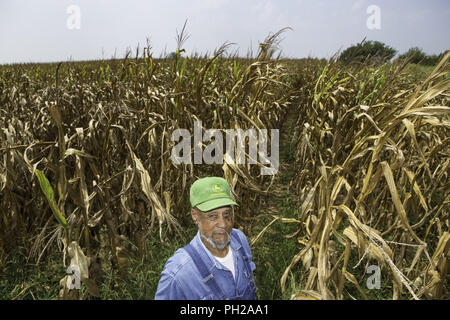 Lyles, Indiana, USA. Août 25, 2018. NORMAN GREER, 8, un agriculteur américain africain se trouve dans son champ de maïs, où il possède 52 hectares de fermes et de 300 acres dans la région de Lyles, Indiana. Greer a été agriculteurs depuis 1960 et est le dernier agriculteur noir et propriétaire du terrain qui a été la terre de sa famille l'agriculture depuis 1855. En plus de l'agriculture, Greer est propriétaire et pompe l'huile de sa terre et vend le produit à des entreprises de la région.Le 31 août- 1 septembre 2018 Station Lyles célébrera le 20ème anniversaire de l'inauguration des travaux de rénovation de l'historique Lyles Consolidated School. Greer, am Banque D'Images