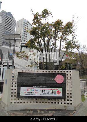 Honda racing grâce jour commercial en face de la Tokyo Broadcasting Center (SCT) Bâtiment à Akasaka, Minato-ku, Tokyo, Japon, le 8 novembre 2017. () Banque D'Images