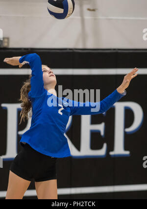 Volley-ball action avec Pierce High School at University Prep à Redding en Californie. Banque D'Images