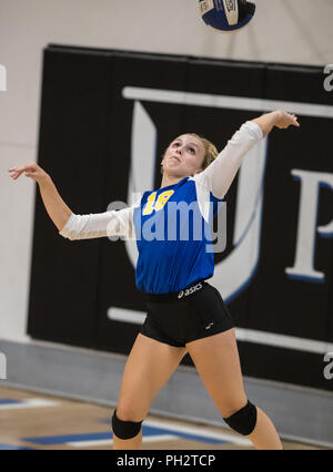 Volley-ball action avec Pierce High School at University Prep à Redding en Californie. Banque D'Images