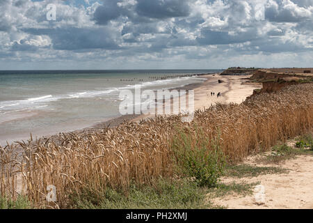 Happisburgh beach vue depuis la falaise, Norfolk, Royaume-Uni. Banque D'Images