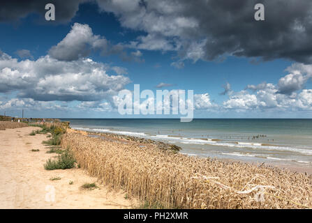 Happisburgh beach vue depuis la falaise, Norfolk, Royaume-Uni. Banque D'Images